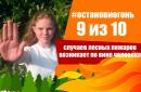 О проведении информационной кампании «Останови огонь!» в 2024 году О проведении информационной кампании «Останови огонь!» в 2024 году